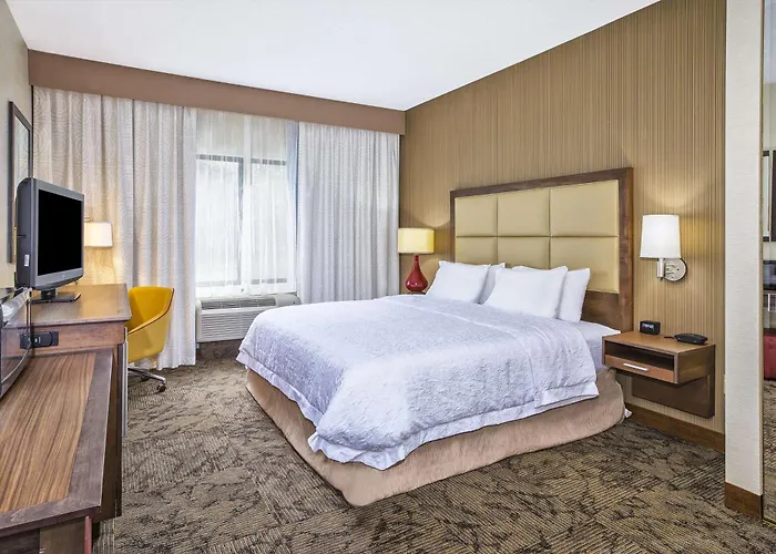 Hampton Inn Detroit/Belleville-Airport Area